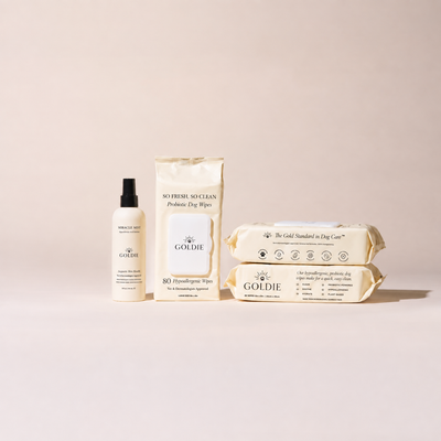 Paw Care Set