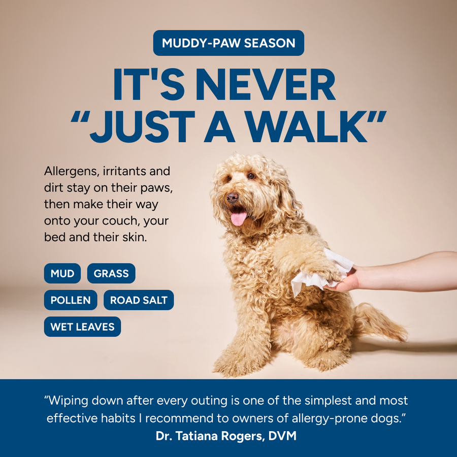 It's never just a walk: allergens, irritants and dirt stay on their paws, then make their way onto your couch, your bed and their skin