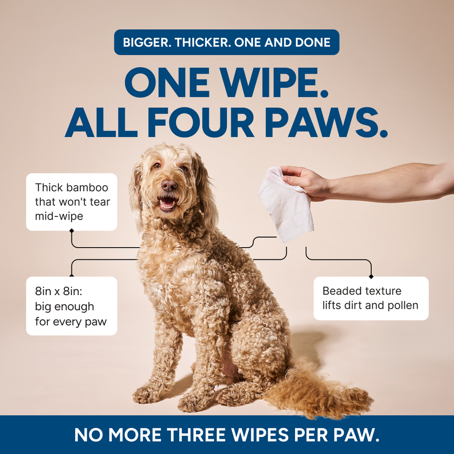 One thick 8 by 8 inch Goldie wipe cleans all four paws