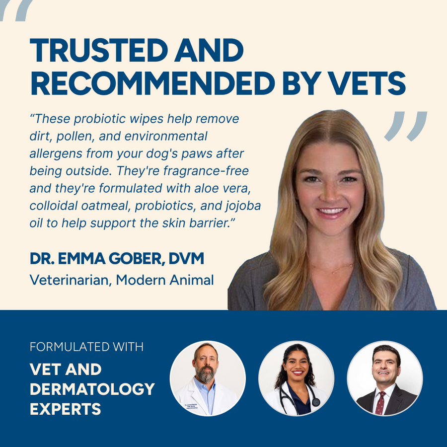 Trusted and recommended by vets: Dr. Emma Gober on Goldie probiotic wipes