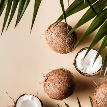 Nature's Best Kept Secret: The Scientific Benefits of Coconut Oil To Improve Your Dog's Skin & Fur