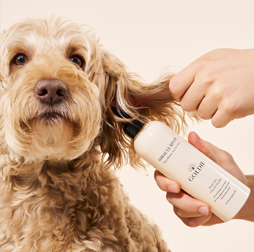 Goldie Dog Essentials - Ear Rinse