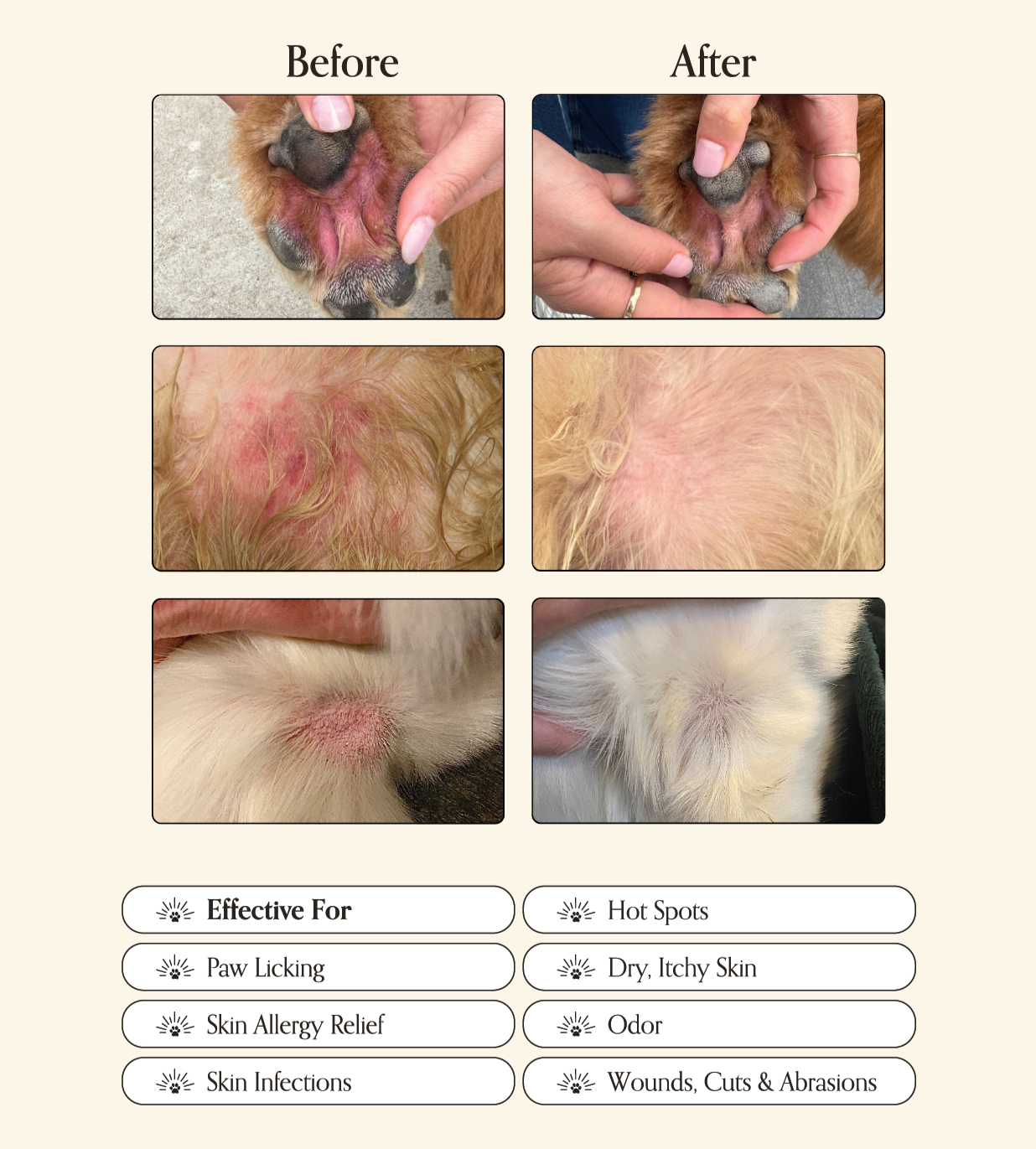 Before and after comparison of a dog's skin condition with text indicating conditions treated including paw licking, hot spots, dry itchy skin, skin allergy relief, odor, skin infections, wounds cuts and abrasions