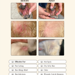 Before and after comparison of a dog's skin condition with text indicating conditions treated including paw licking, hot spots, dry itchy skin, skin allergy relief, odor, skin infections, wounds cuts and abrasions