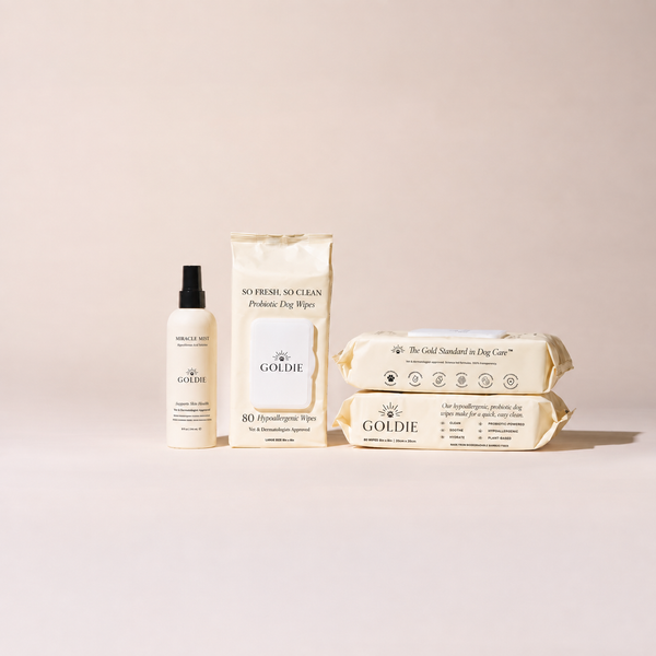 Paw Care Set
