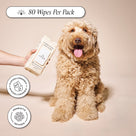 Package with certification badges - hypoallergenic, 80 count, probiotics