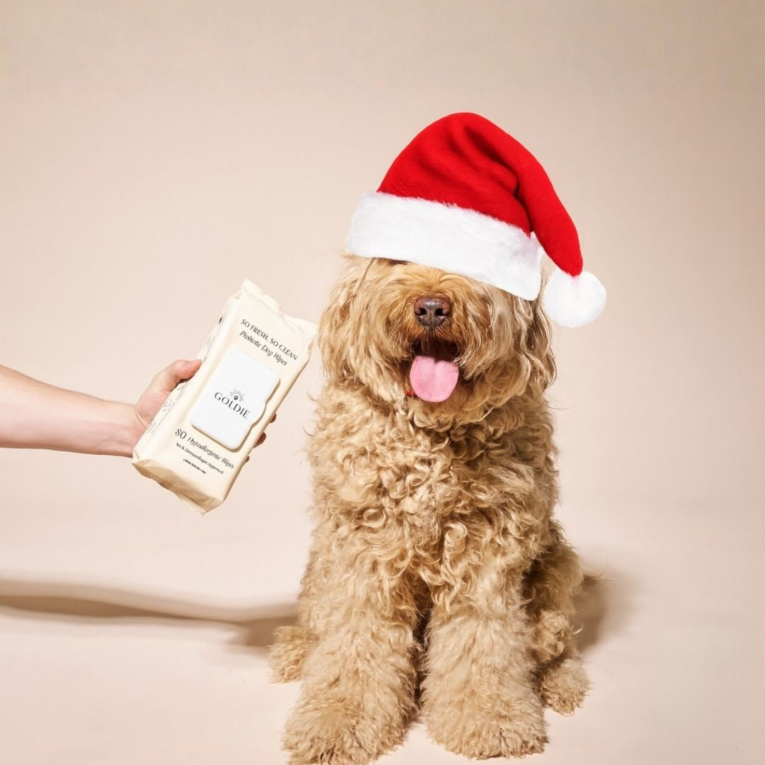 Free Gift On Orders $100+