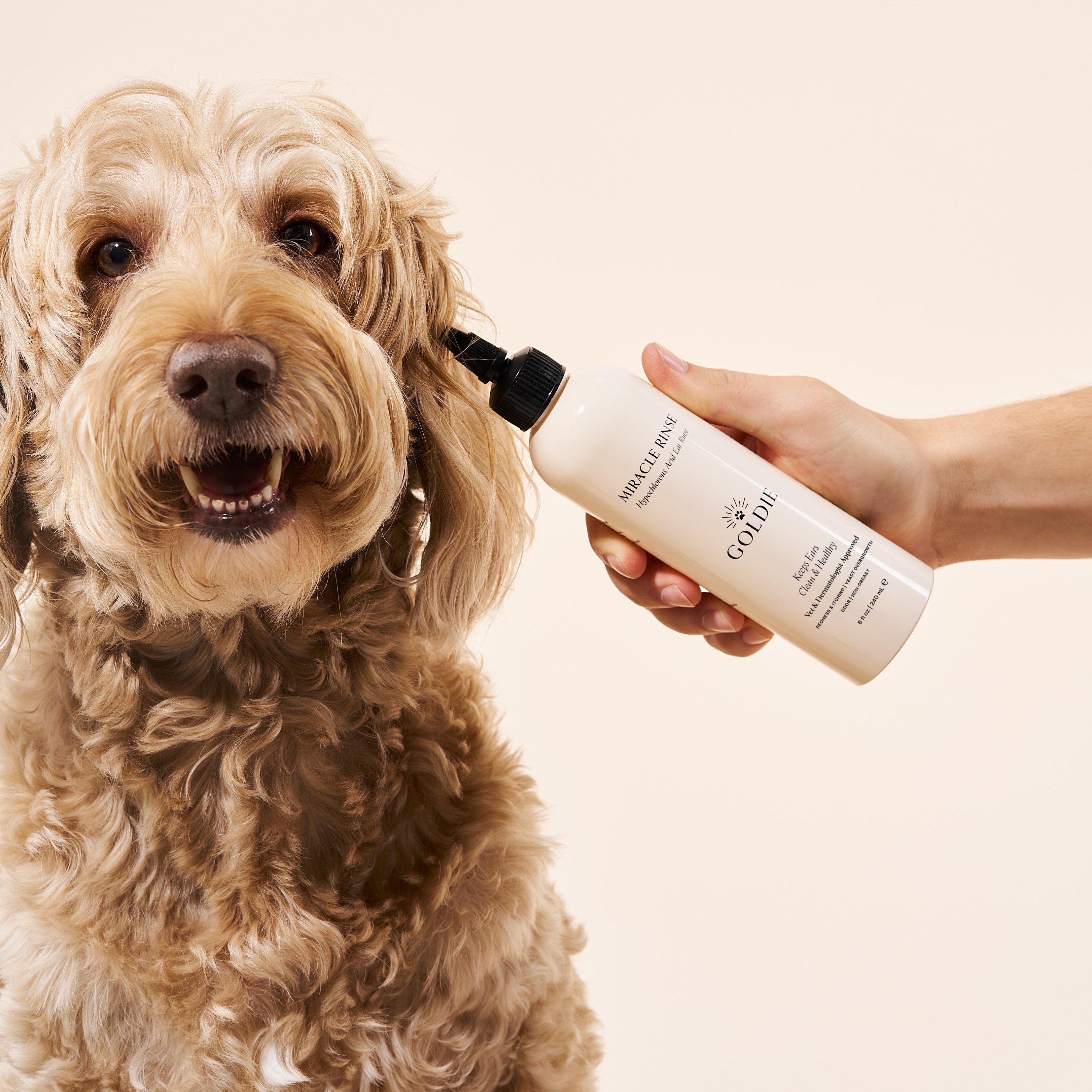 Dog smiling with Miracle Rinse bottle