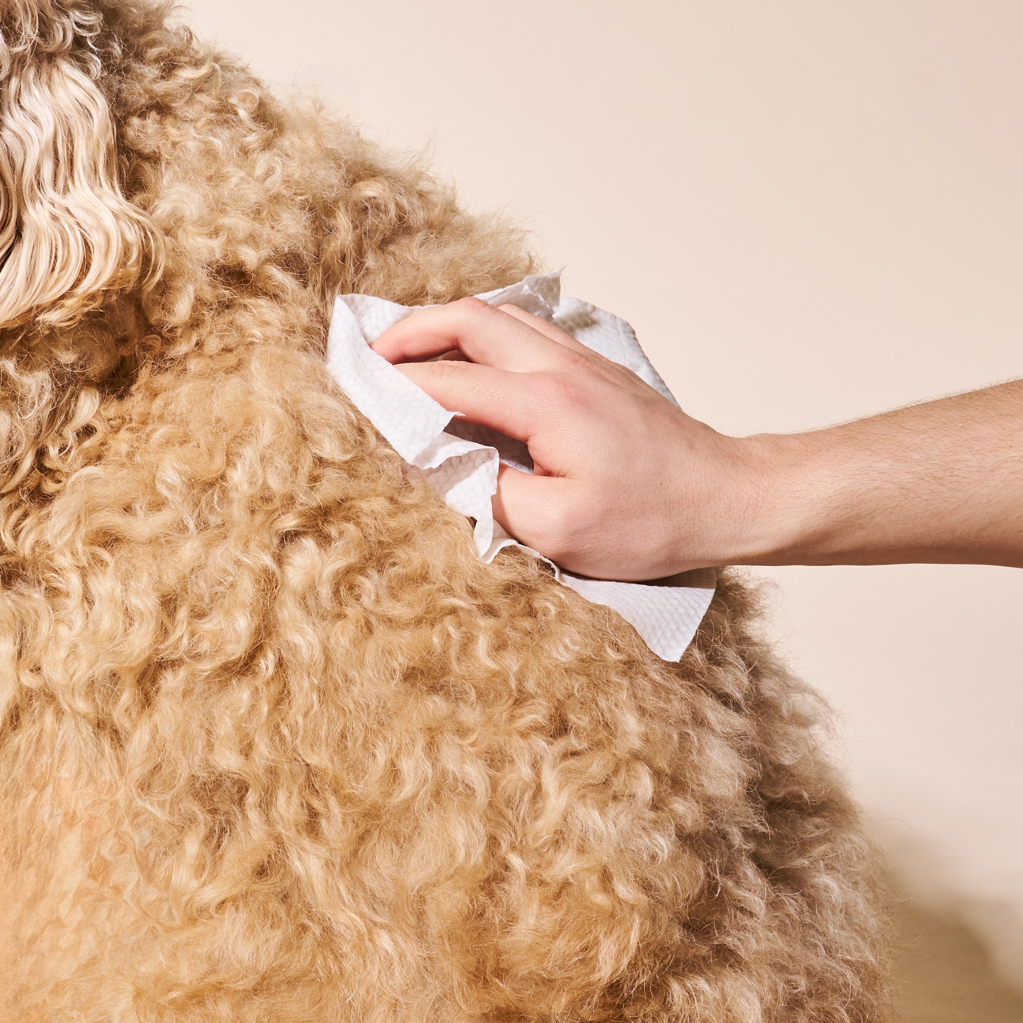 Hypoallergenic and Gentle