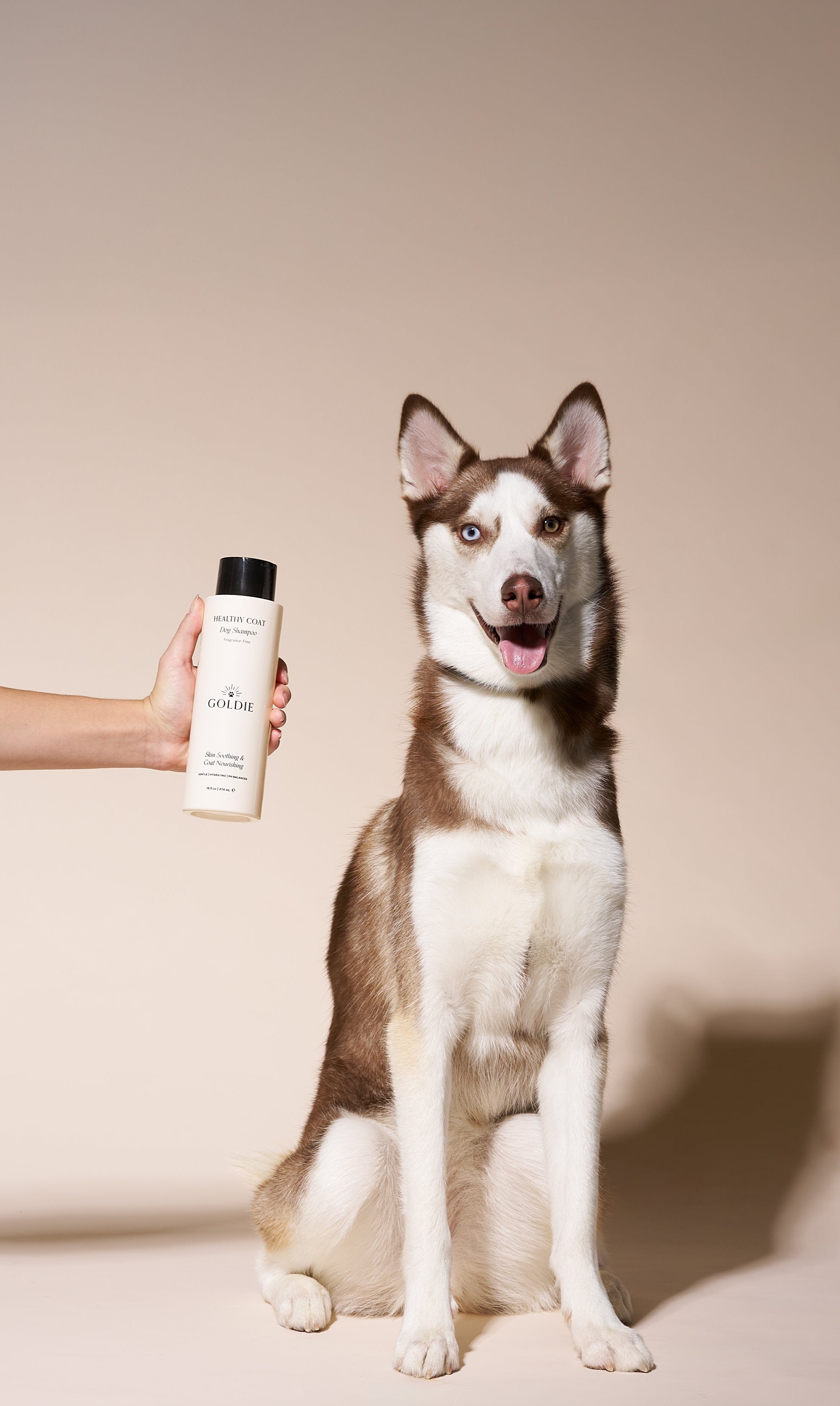 The Gold Standard in Dog Care