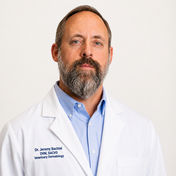 A professional portrait of Dr. Jeremy Bachtel, DVM, DACVD, Veterinary Dermatology, wearing a white doctor's lab coat over a light blue button-down shirt, set against a clean, off-white background.