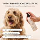 Goldie Miracle Mist 8 fl oz bottle with black spray pump, white label showing hypochlorous acid solution for dogs, vet and dermatologist approved, lick safe and non toxic and formulated at the optimal pH for maximum efficacy