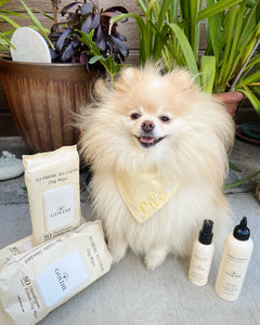 Small dog with products including dog bags and bottles on a stone surface with plants in the background.
