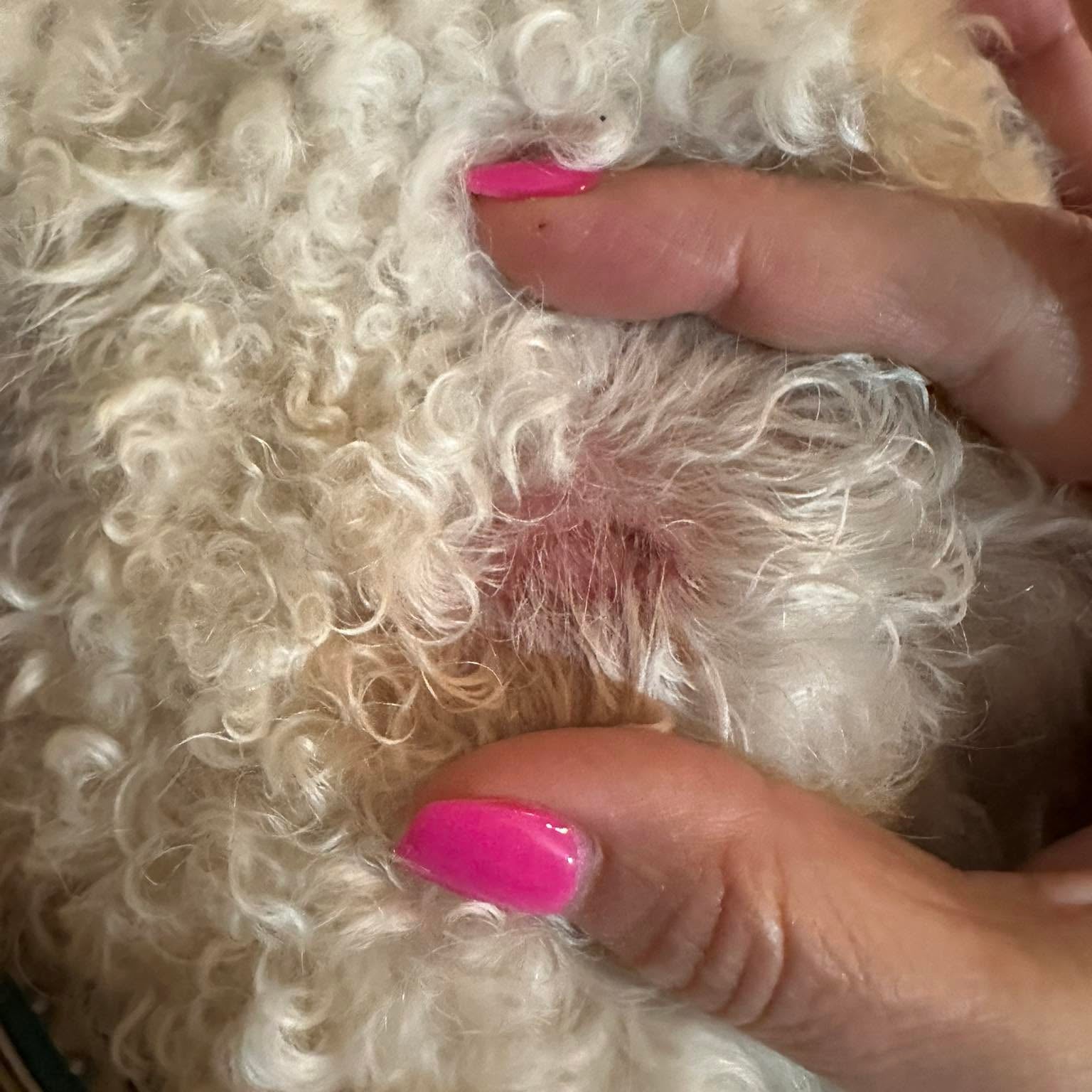 For the spots you can't see under the curls