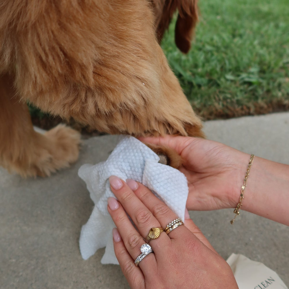 For best results, wipe after every walk
