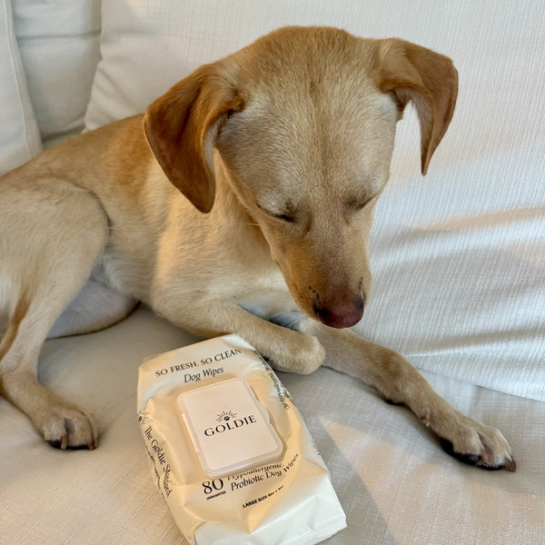 Fragrance-free