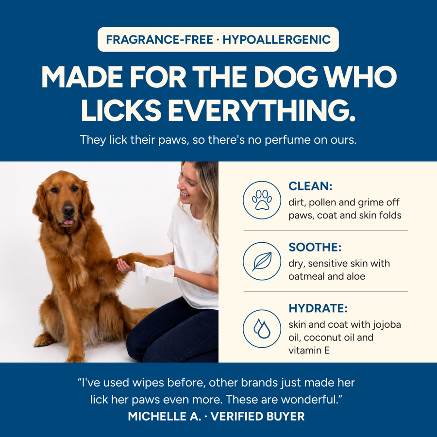 Fragrance-free Goldie wipes made for the dog who licks everything