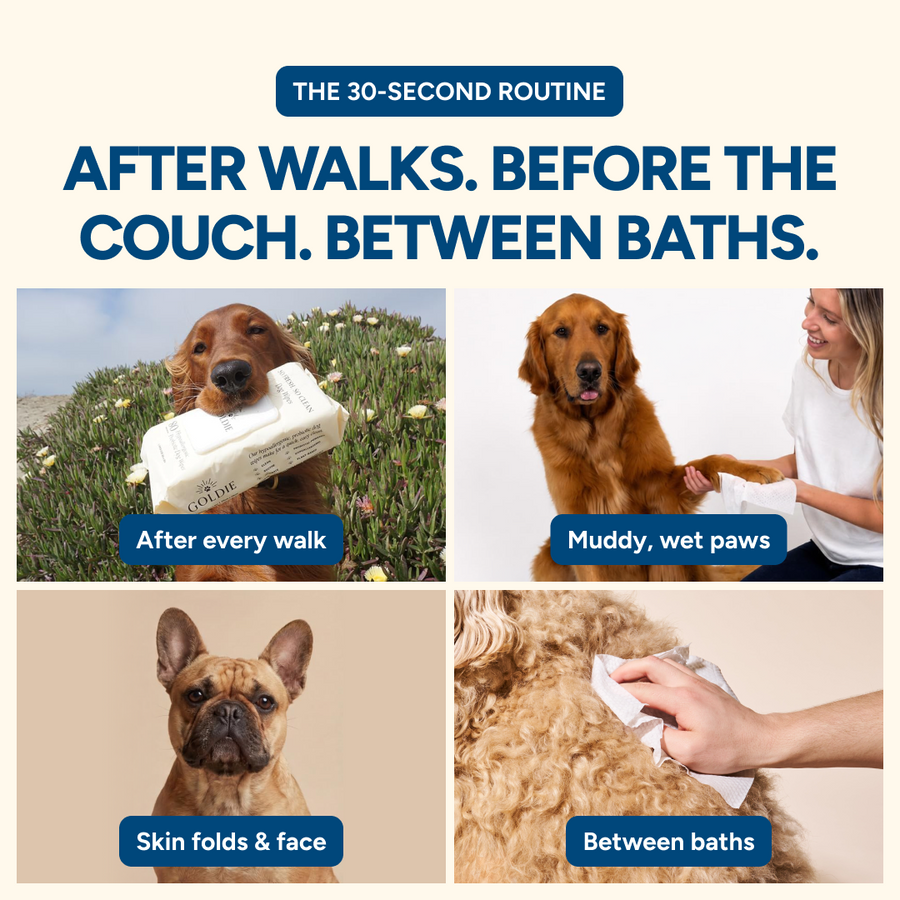 When to use Goldie wipes: after walks, muddy paws, skin folds, between baths