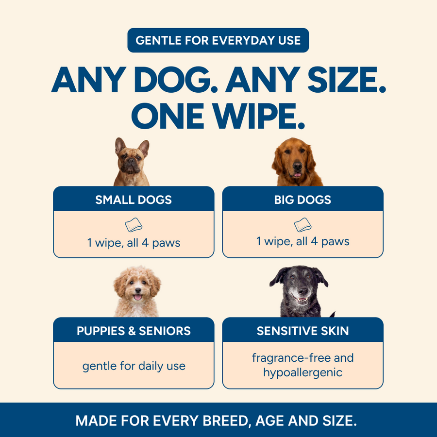 Any dog, any size, one Goldie wipe, gentle for daily use