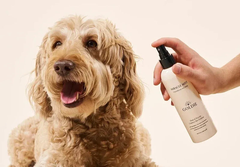 What you put onyour dog matters.